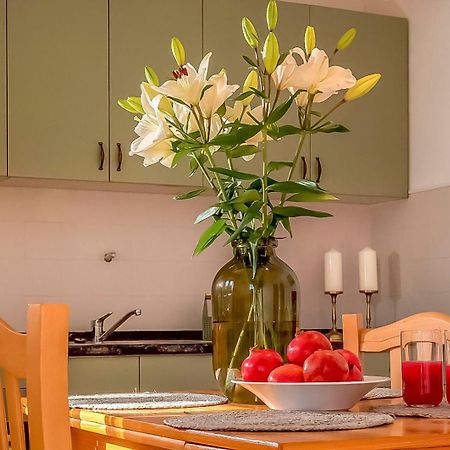 Apartments Matija روغوزنيكا المظهر الخارجي الصورة